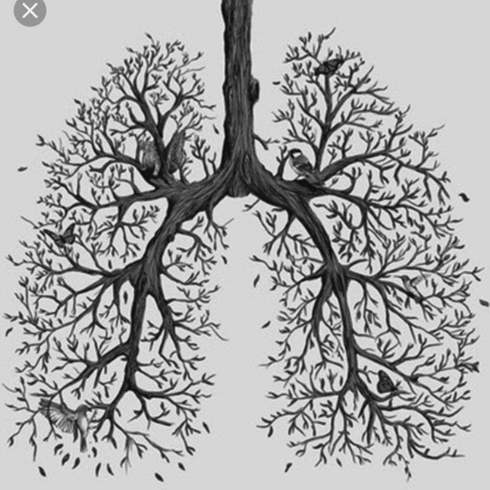 Meet your Posher, Meg